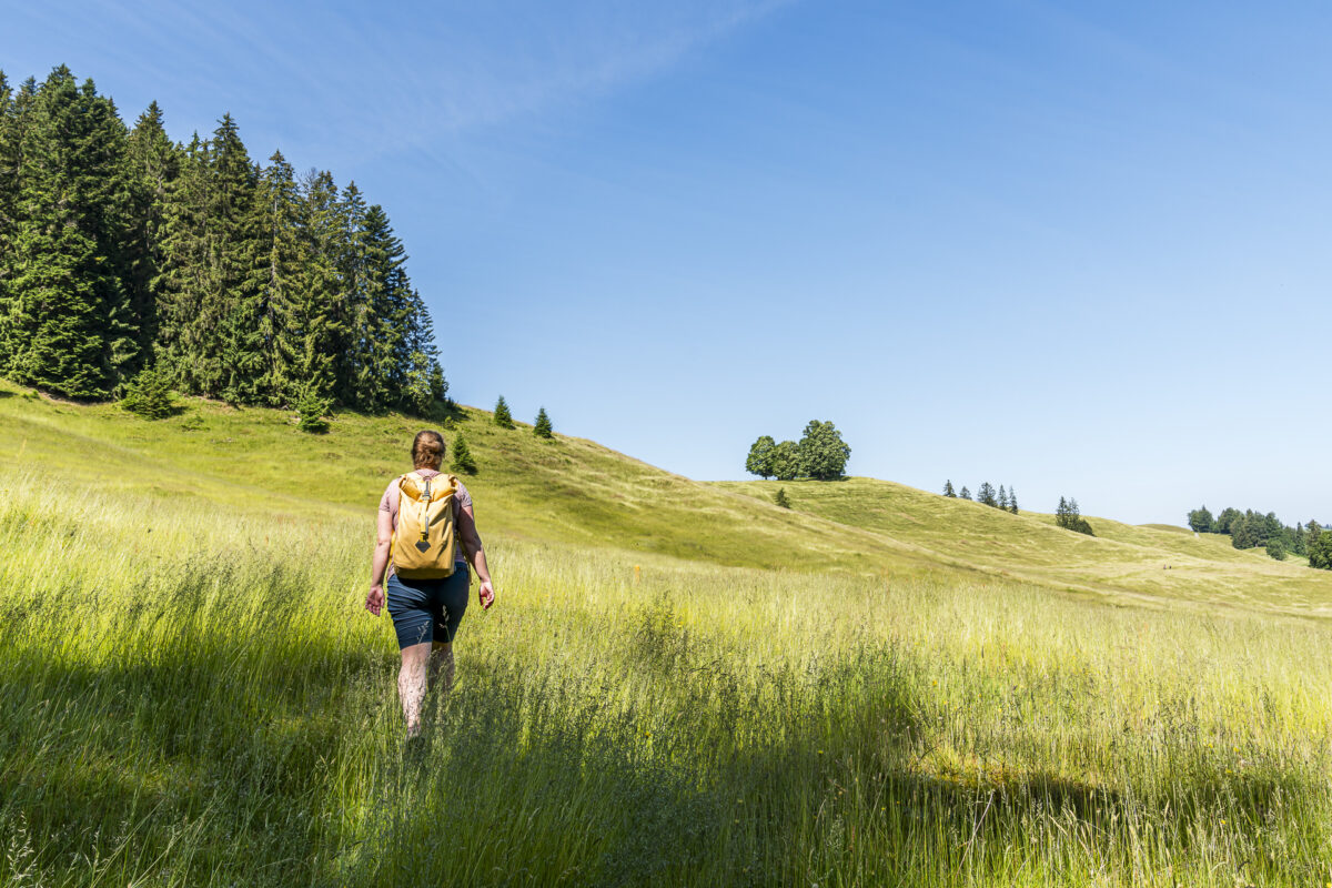 Schallenberg Wandern