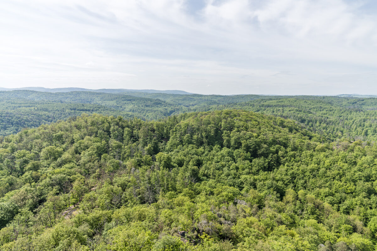 Thüringer Wald Wartburg