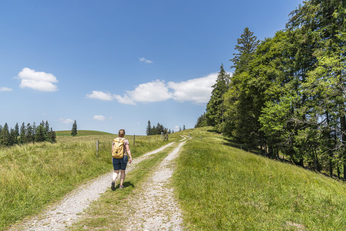 Wanderung Schallenberg - Naters