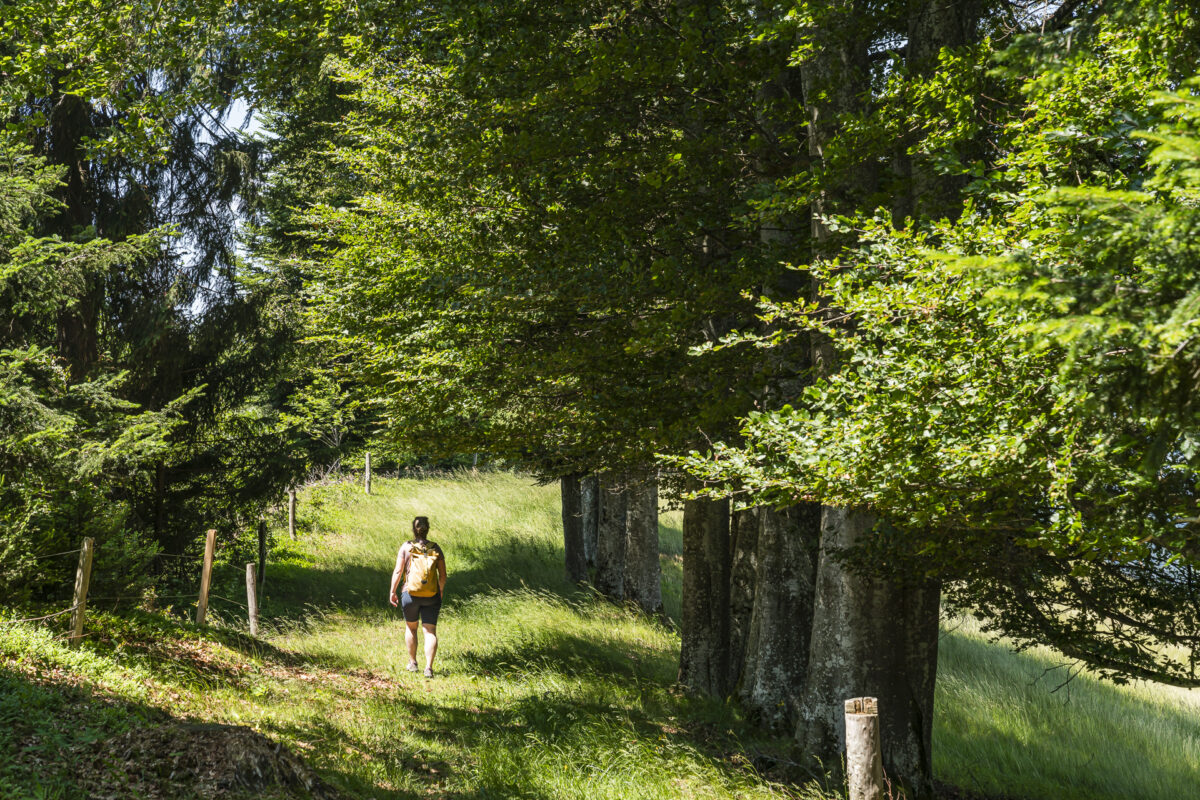 Wandern Naters - Röthenbach