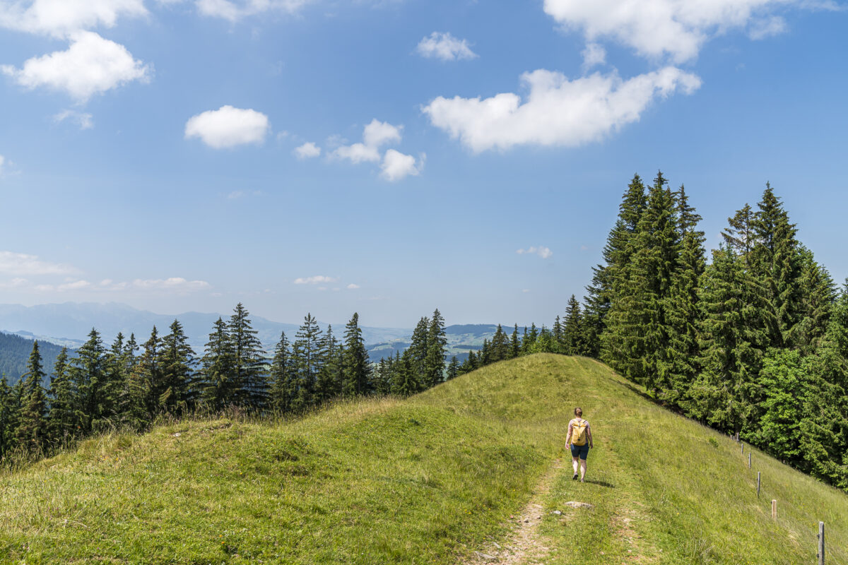 Auf den Turner Wandern