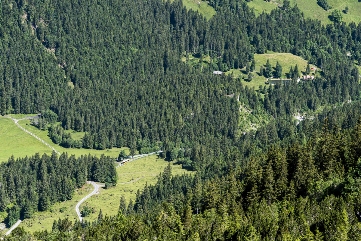 Blick ins Rosenlauital