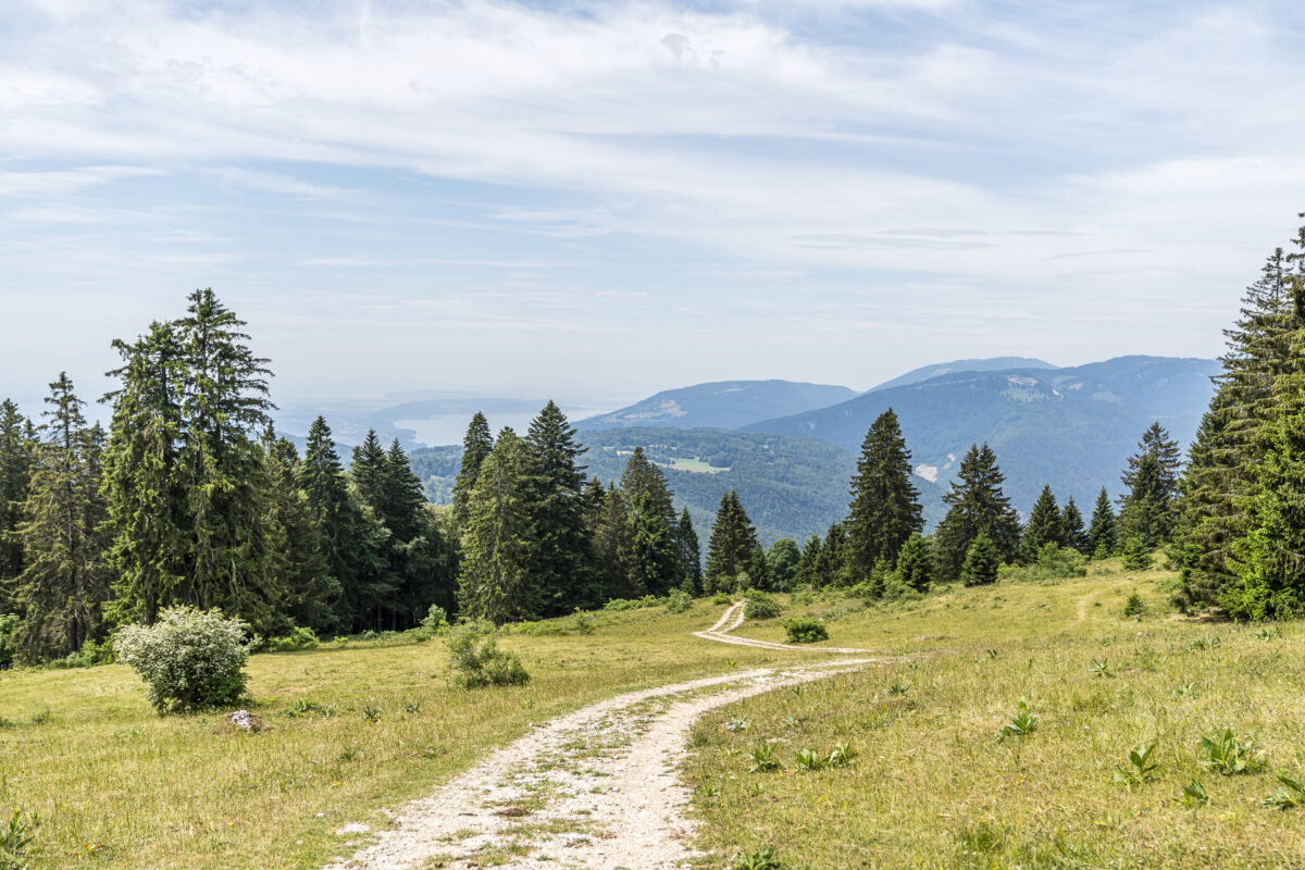 Aufstieg auf den Montoz