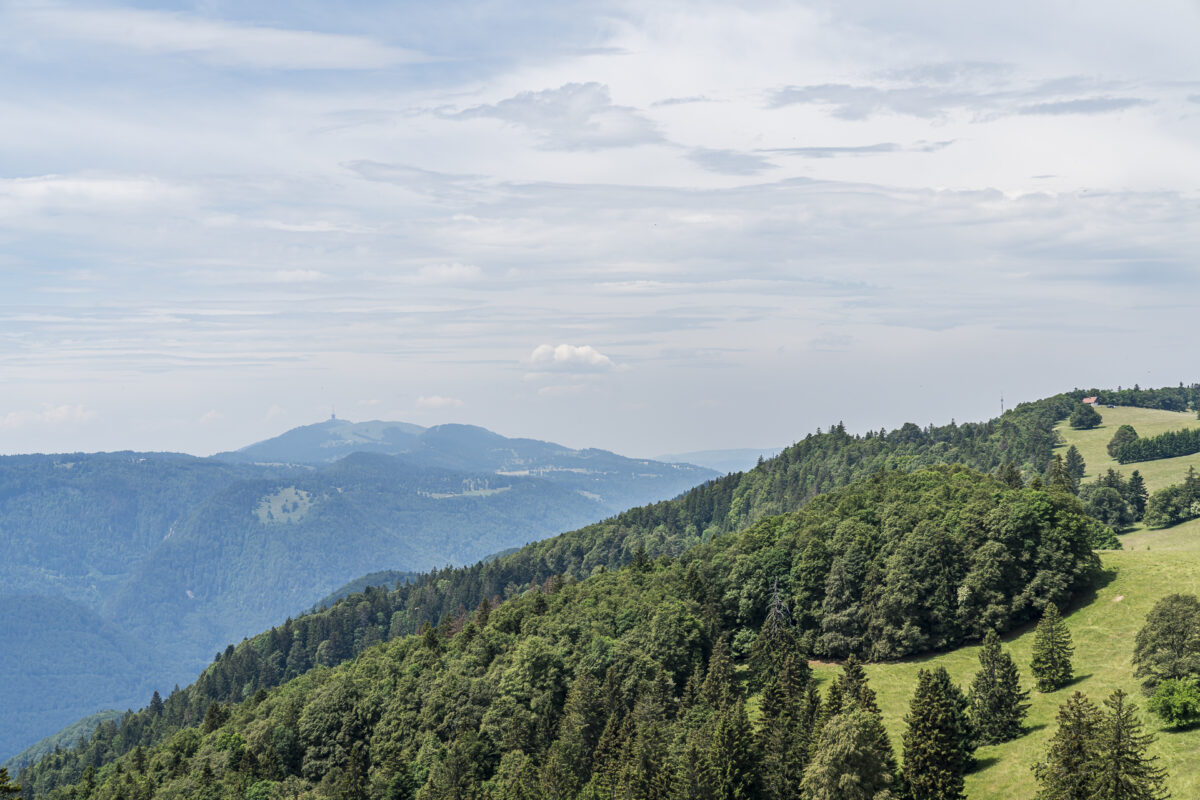 Aussicht vom Montoz