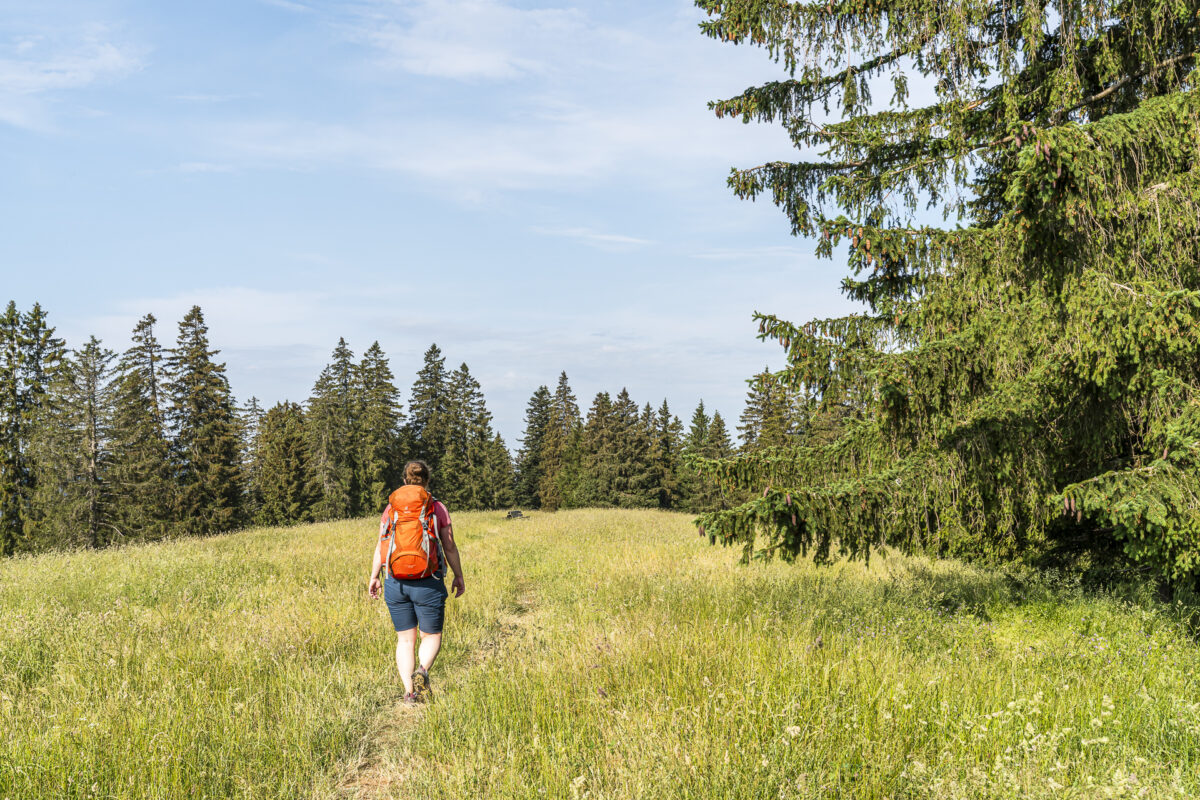 Wanderung auf der Via Berna