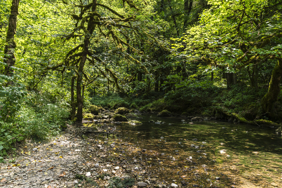 Gorges du Pichoux