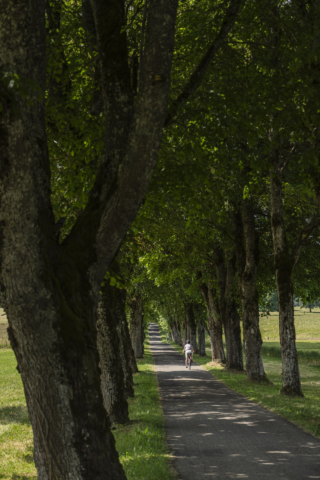 Allee des Joux Freiberge