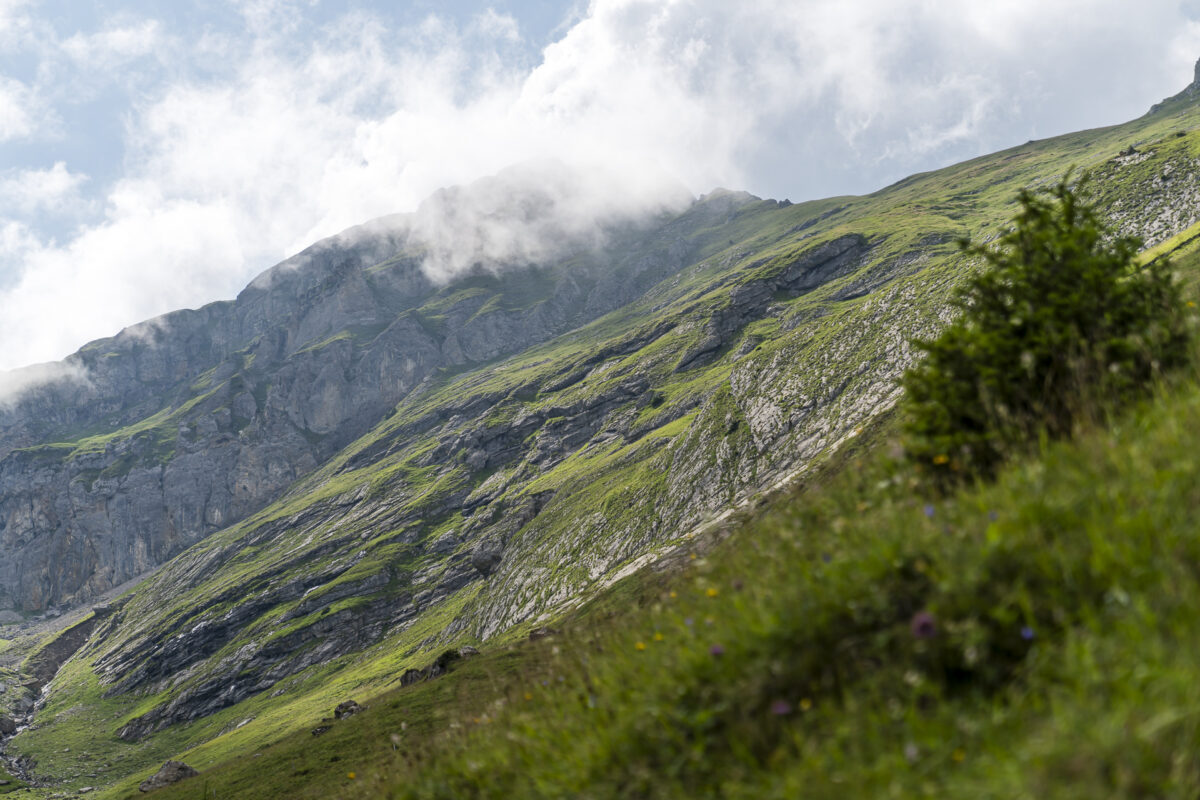 Golitschenalp Landschaft