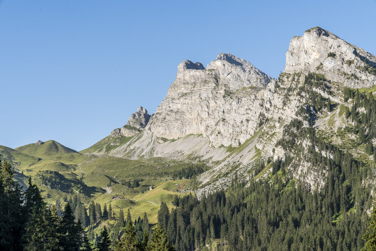 Grimmialp Panorama