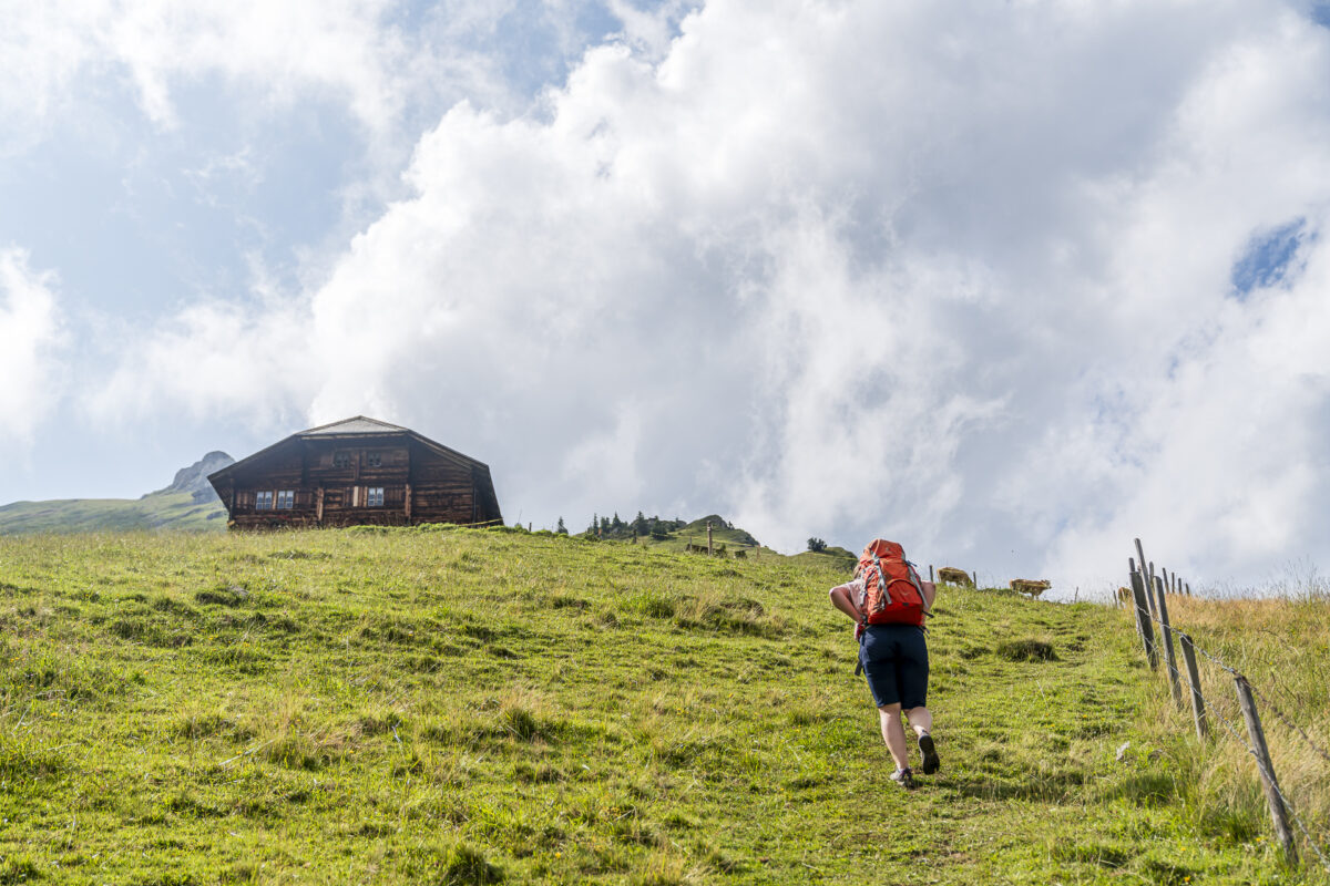 Golitschenalp Alpbetrieb