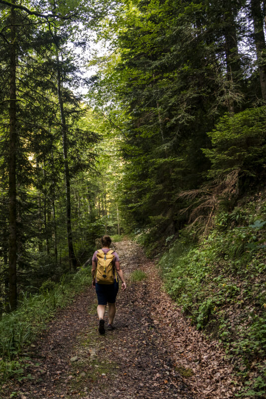 Waldwege Entlebuch