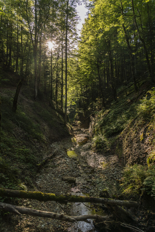 Goldbachschlucht Entlebuch