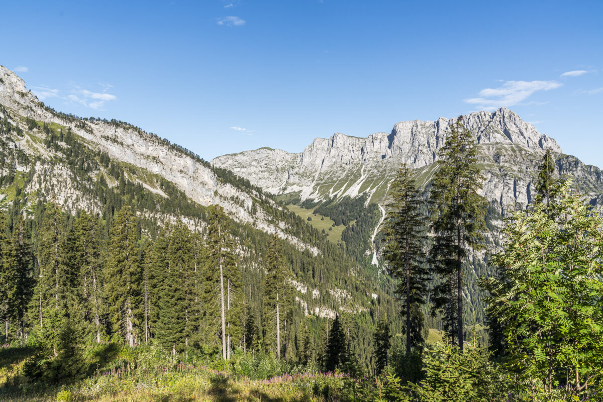 Panorama Grimmialp