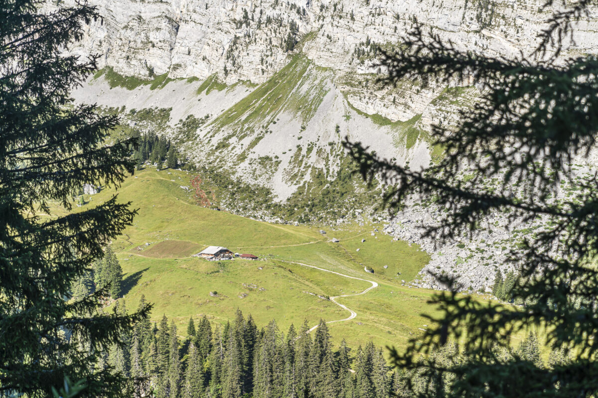 Blick auf die Alp Grimmi