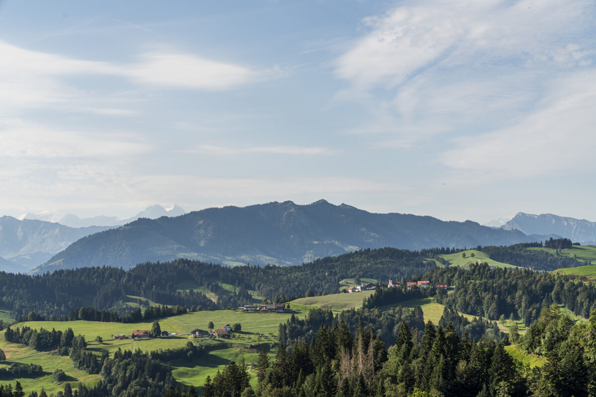 Aussicht vom Köhlerweg