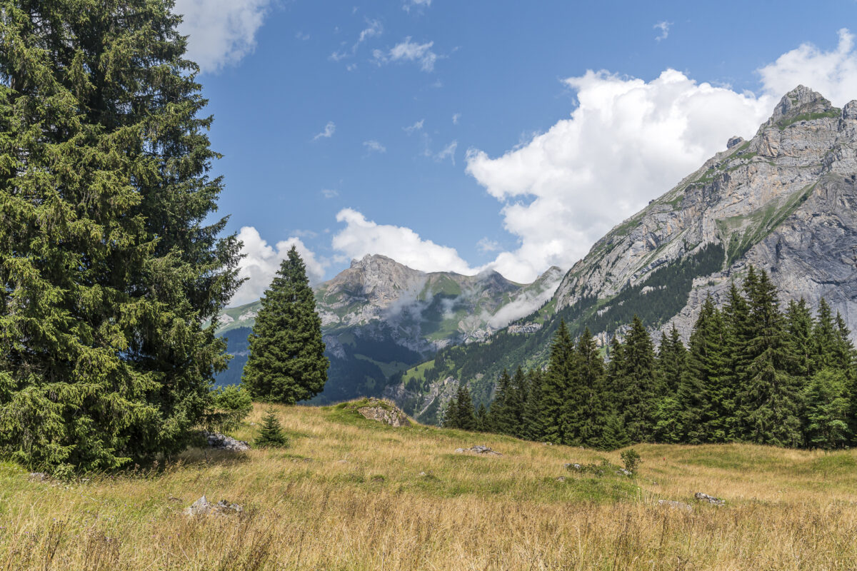 Aussicht beim Wandern in Kandersteg