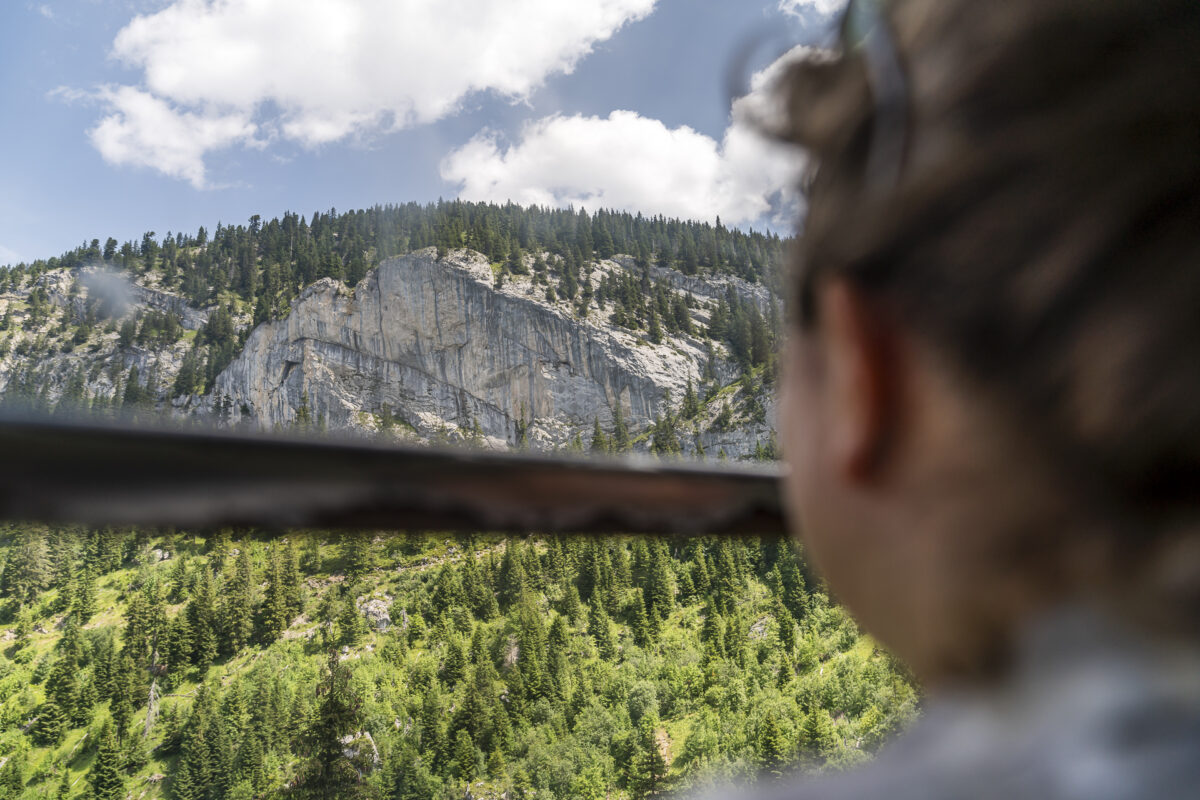 Elsigenalpbahnen Aussicht