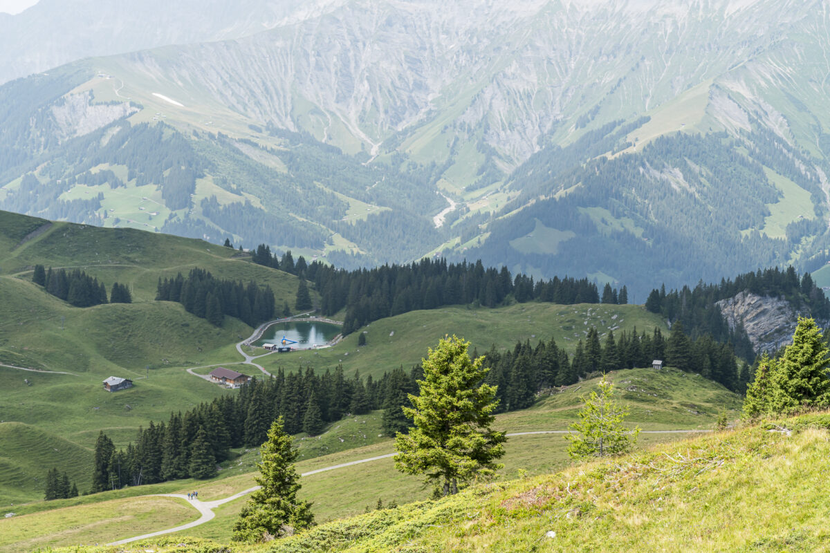 Panorama Elsigenalp