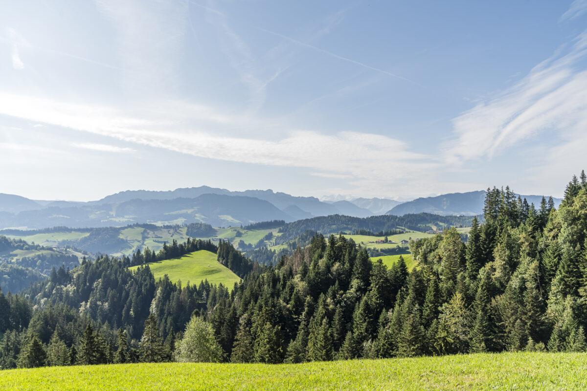 Aussicht Köhlerweg