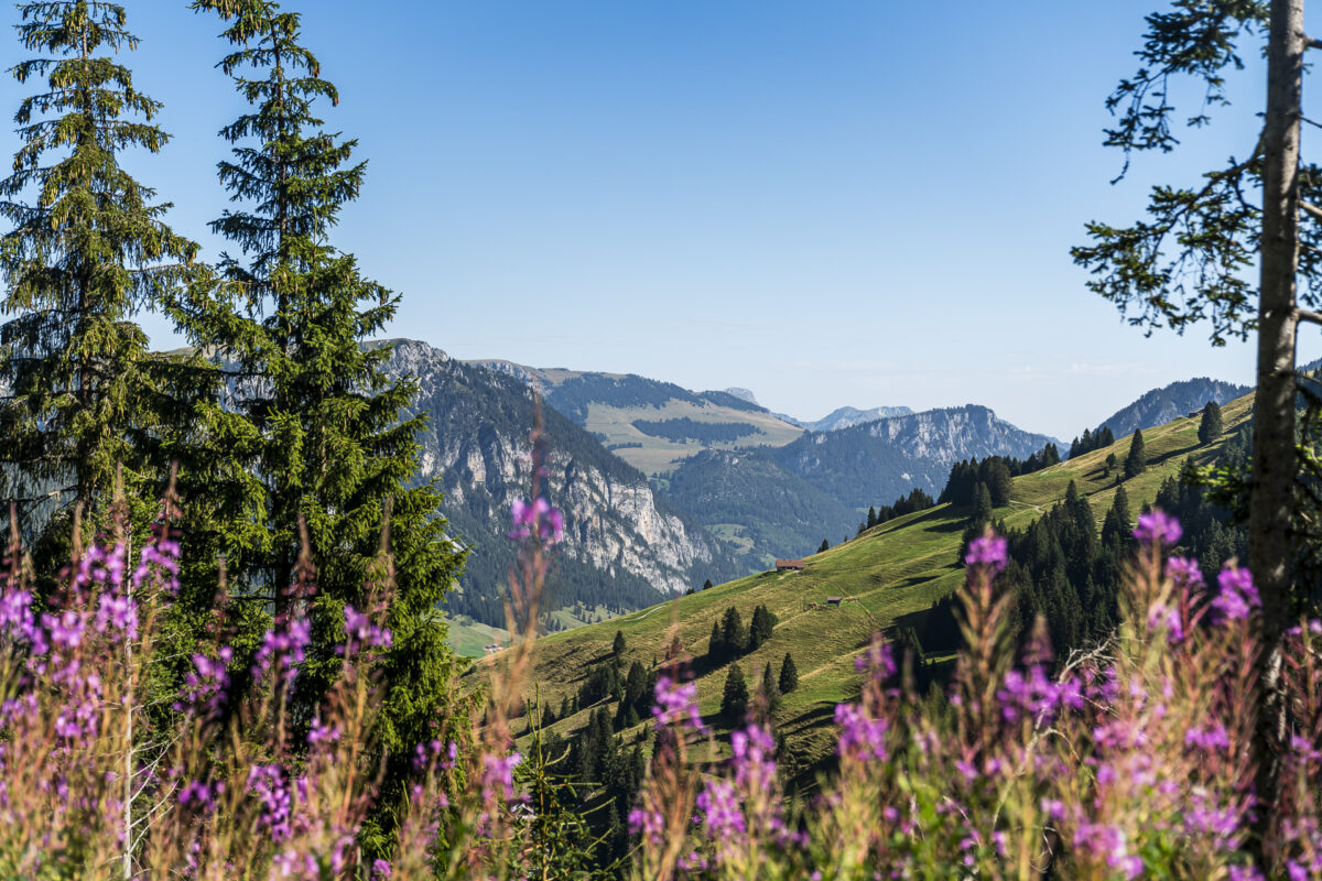 Panorama Naturpark Diemtigtal