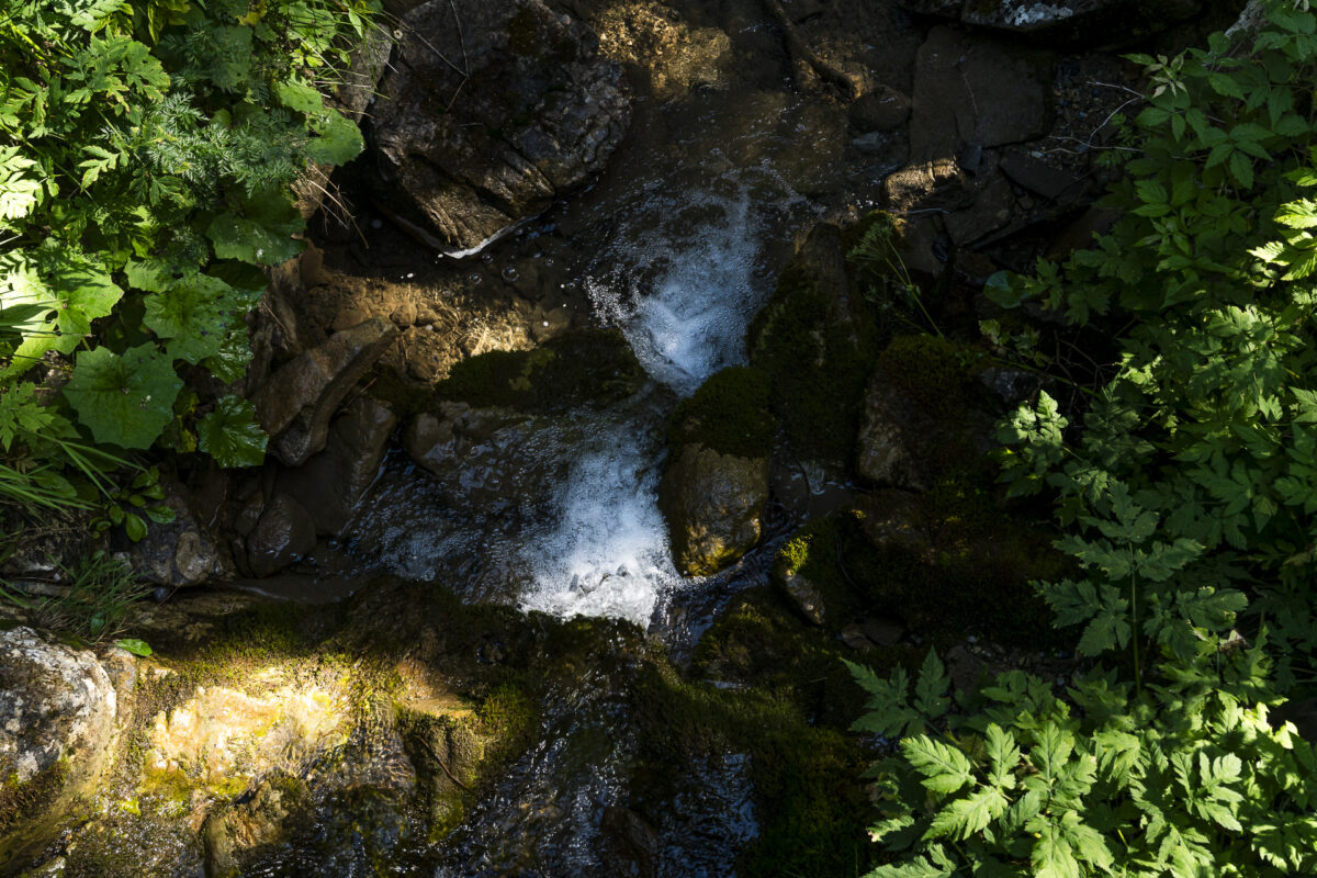 Grimmiwasser Senggibach