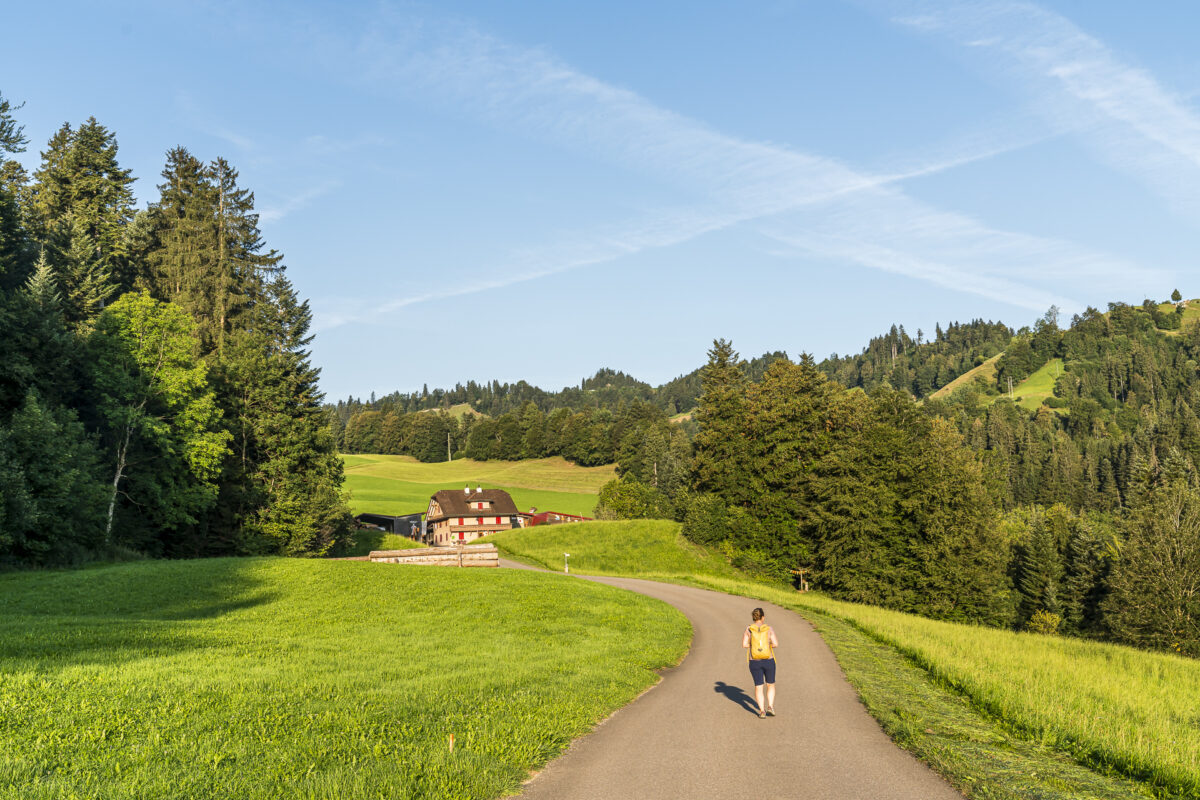 Köhlerweg Wanderung