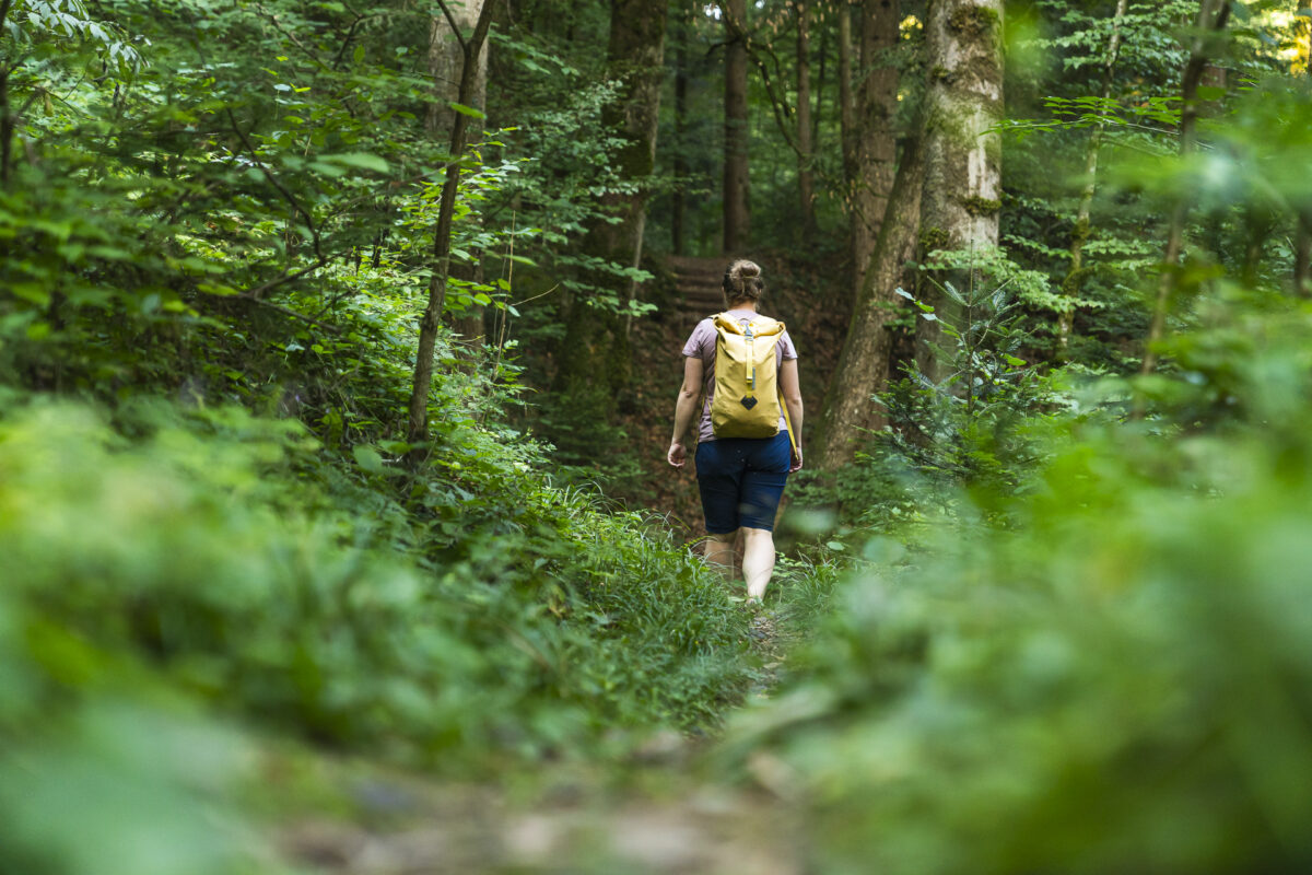 Waldweg Romoos