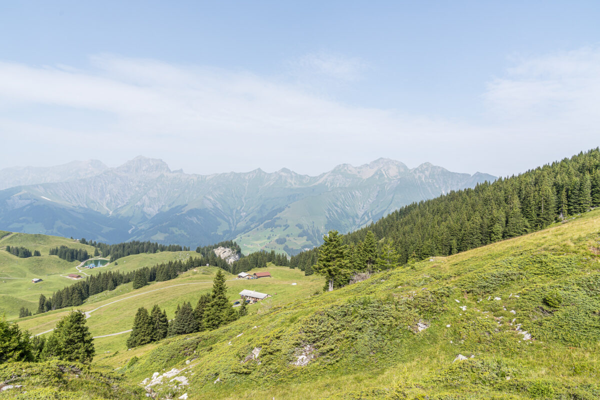 Aussicht auf die Elsigenalp