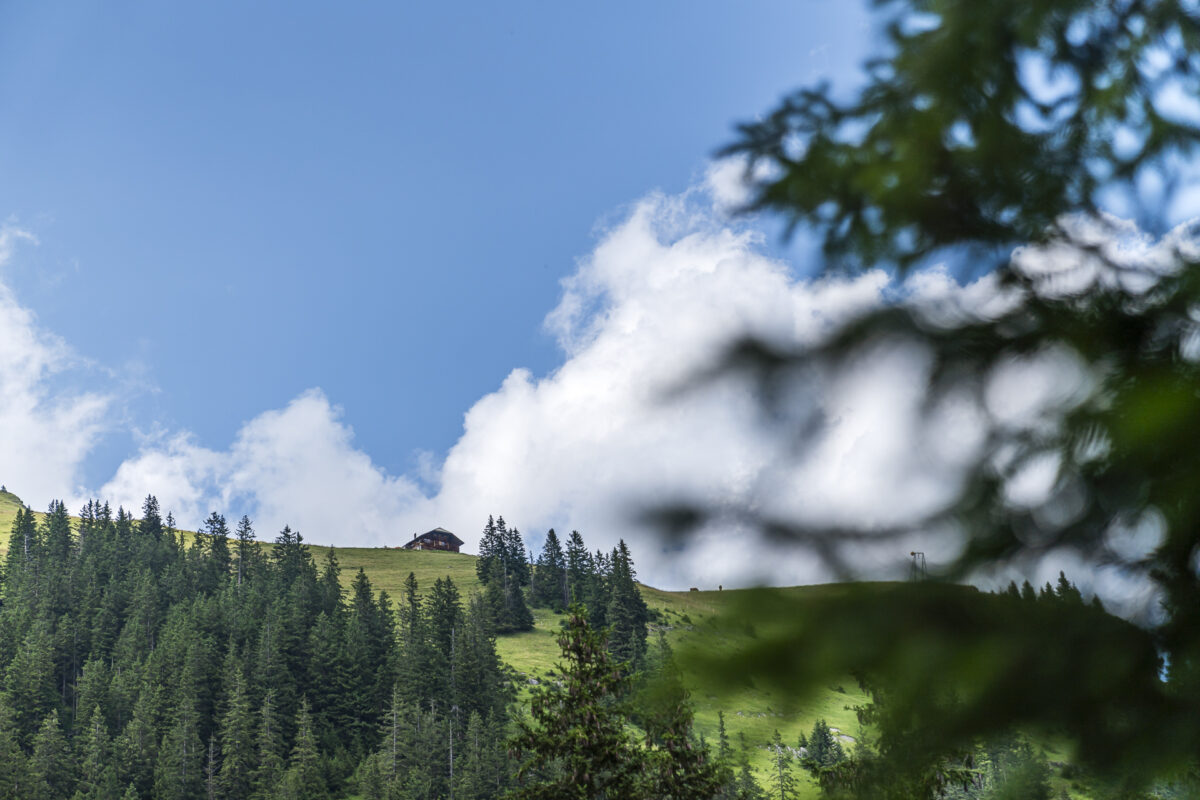 Golitschenalp