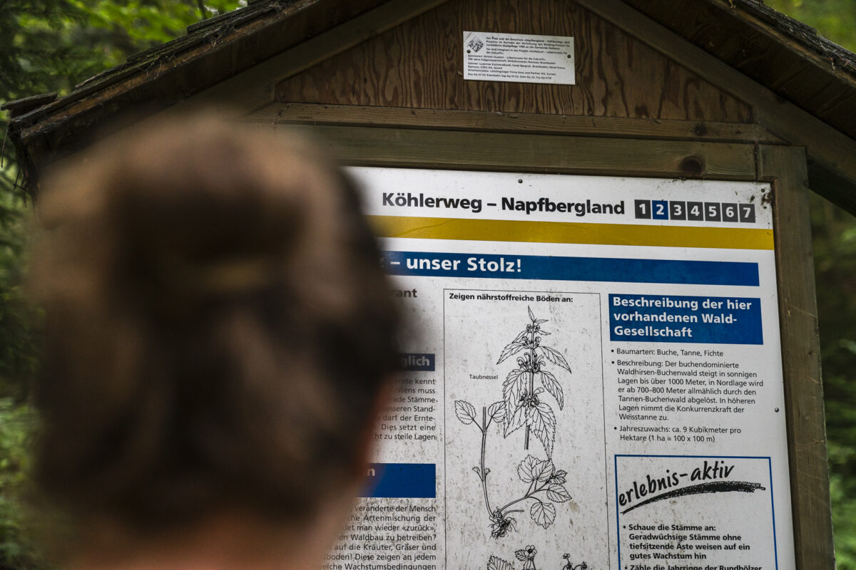 Köhlerweg Informationsstelen