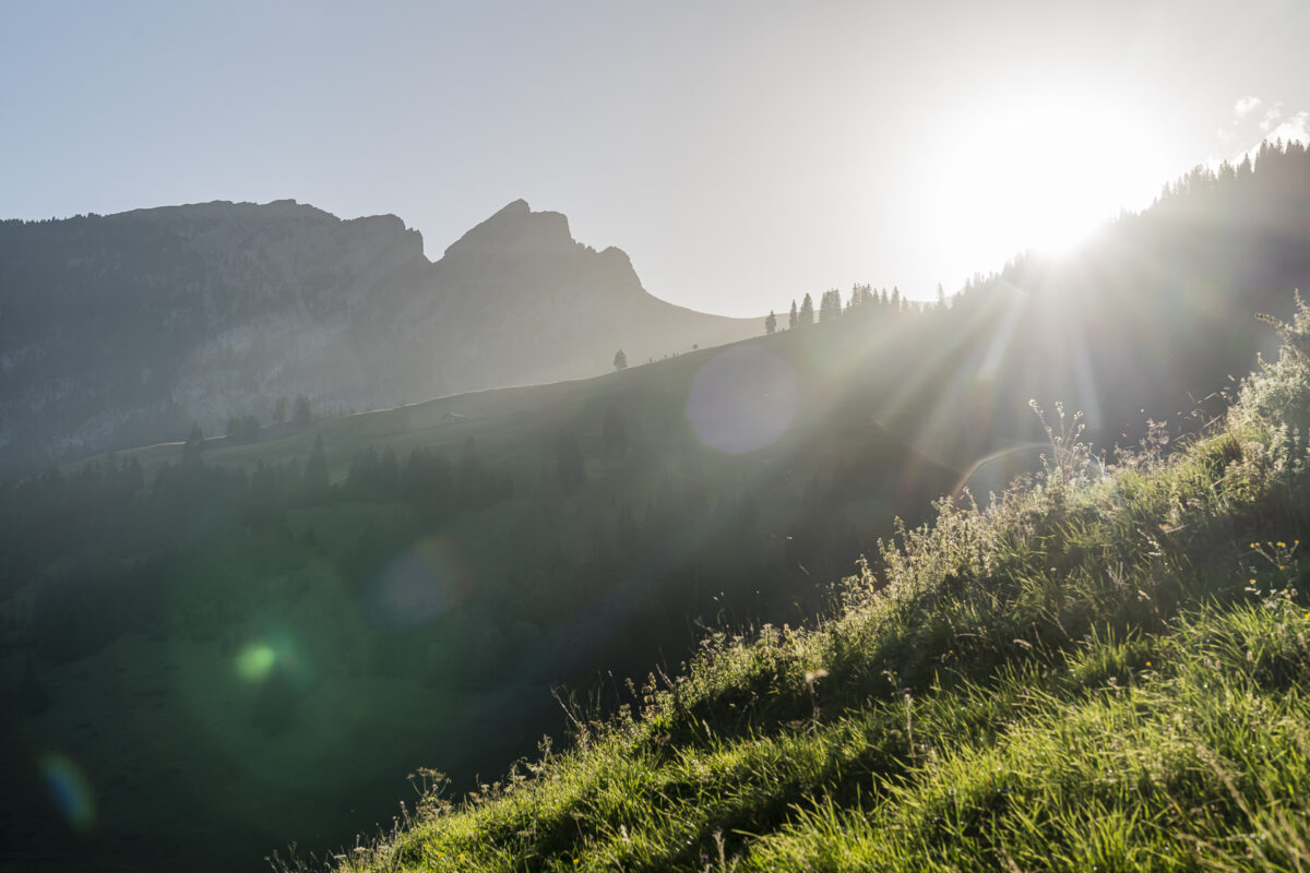 Sommerstimmung Grimmialp