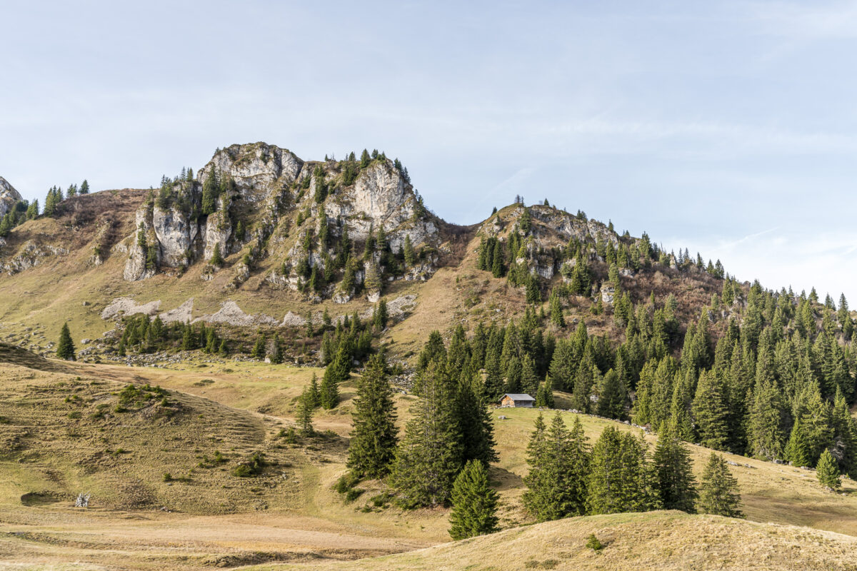 Seebergsee Herbst