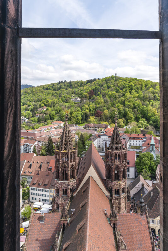 Aussicht vom Freiburger Münster