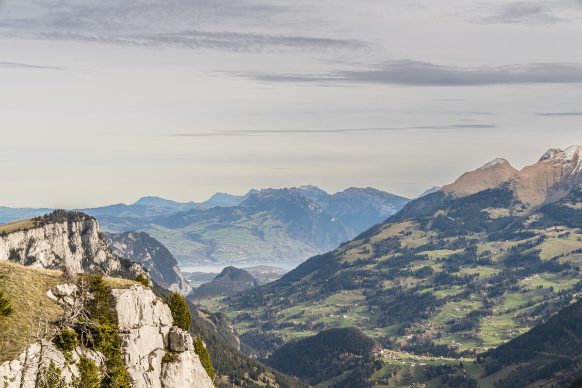 Thunersee Meniggrat