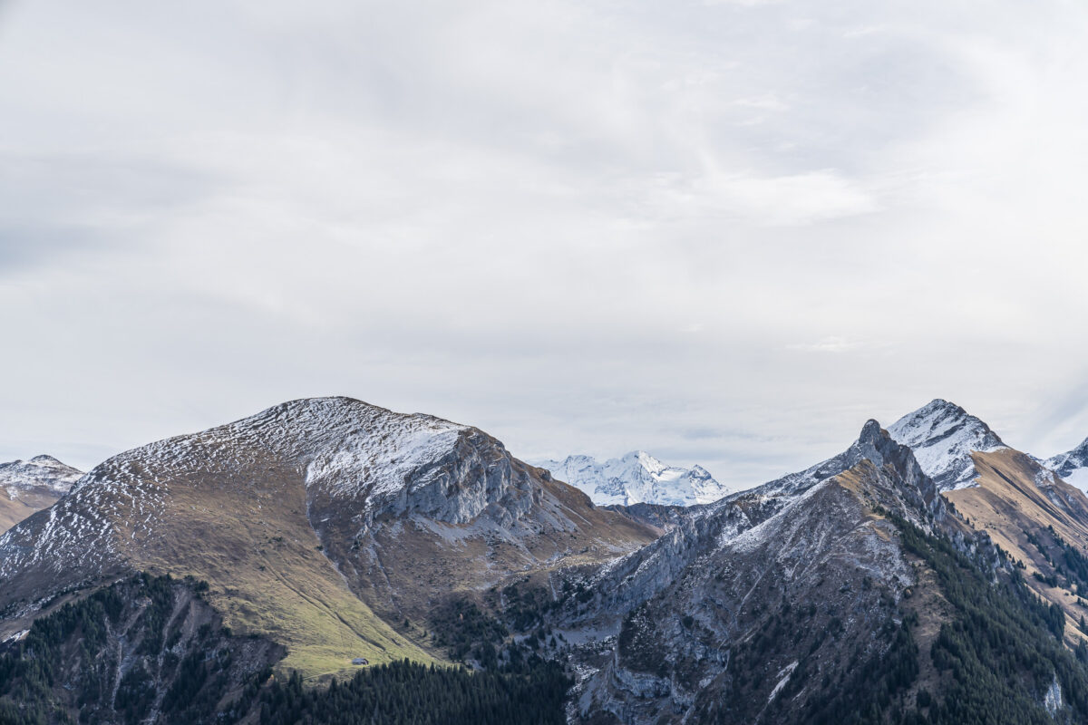 Panorama Meniggrat