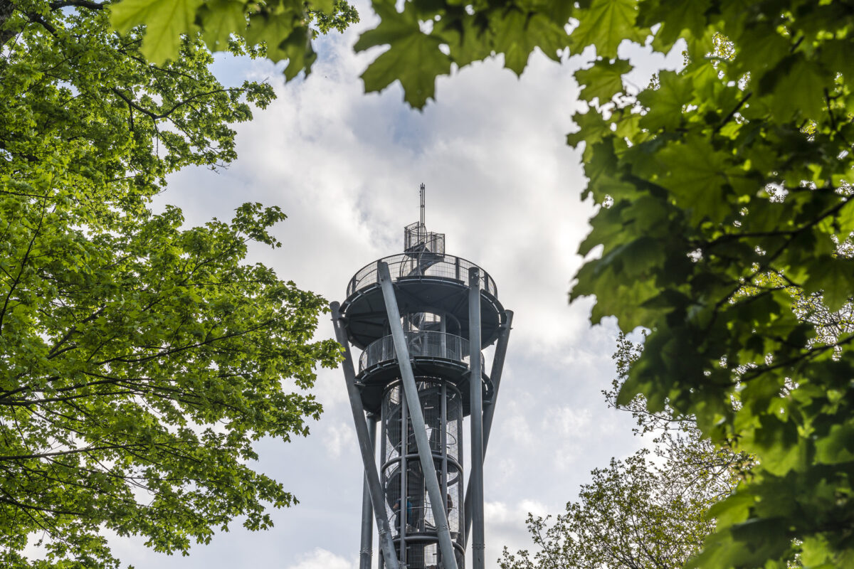 Schlossbergturm Freiburg