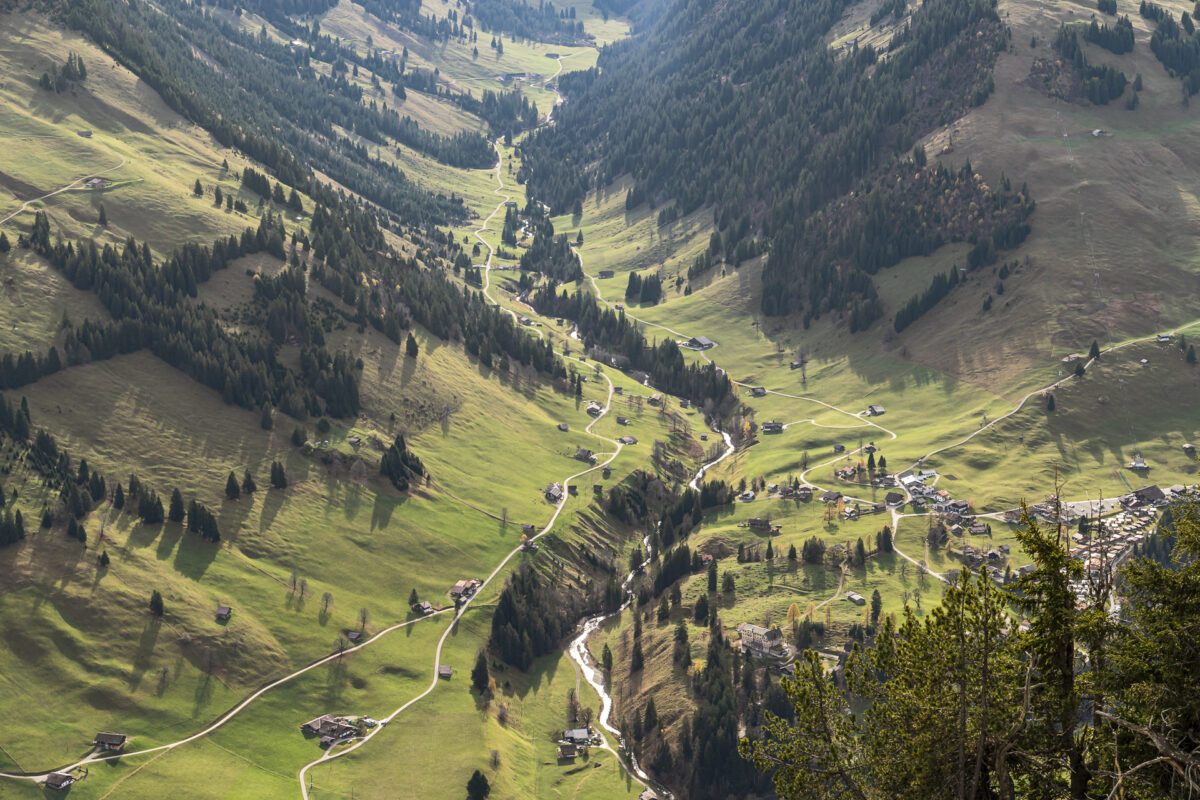 Tiefblick Diemtigtal