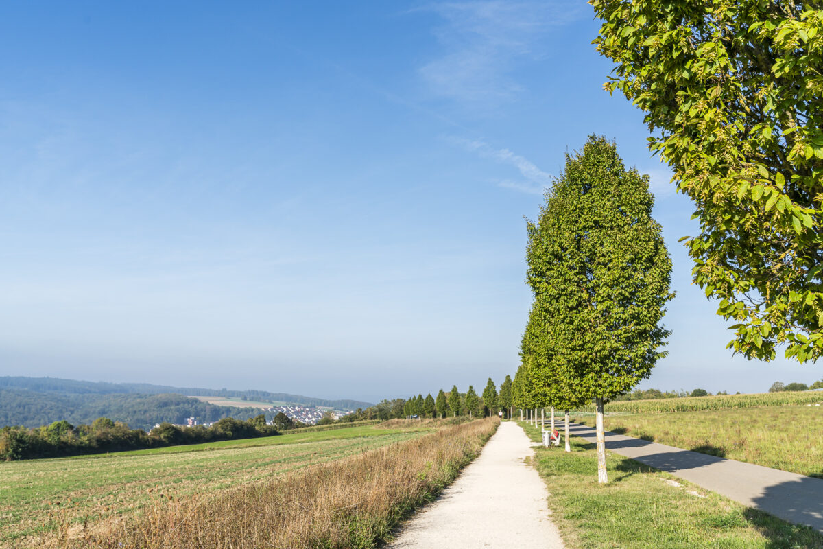 Aussicht Panoramaweg Ulm