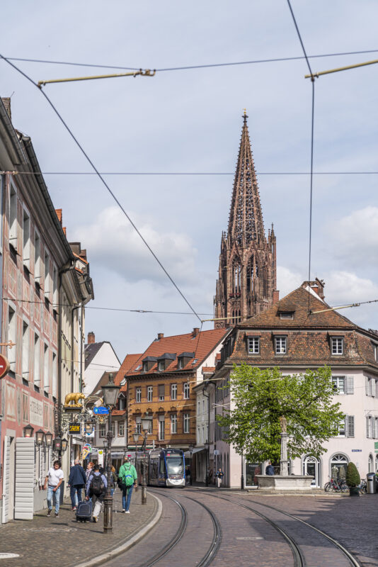 Freiburg Altstadt Münster