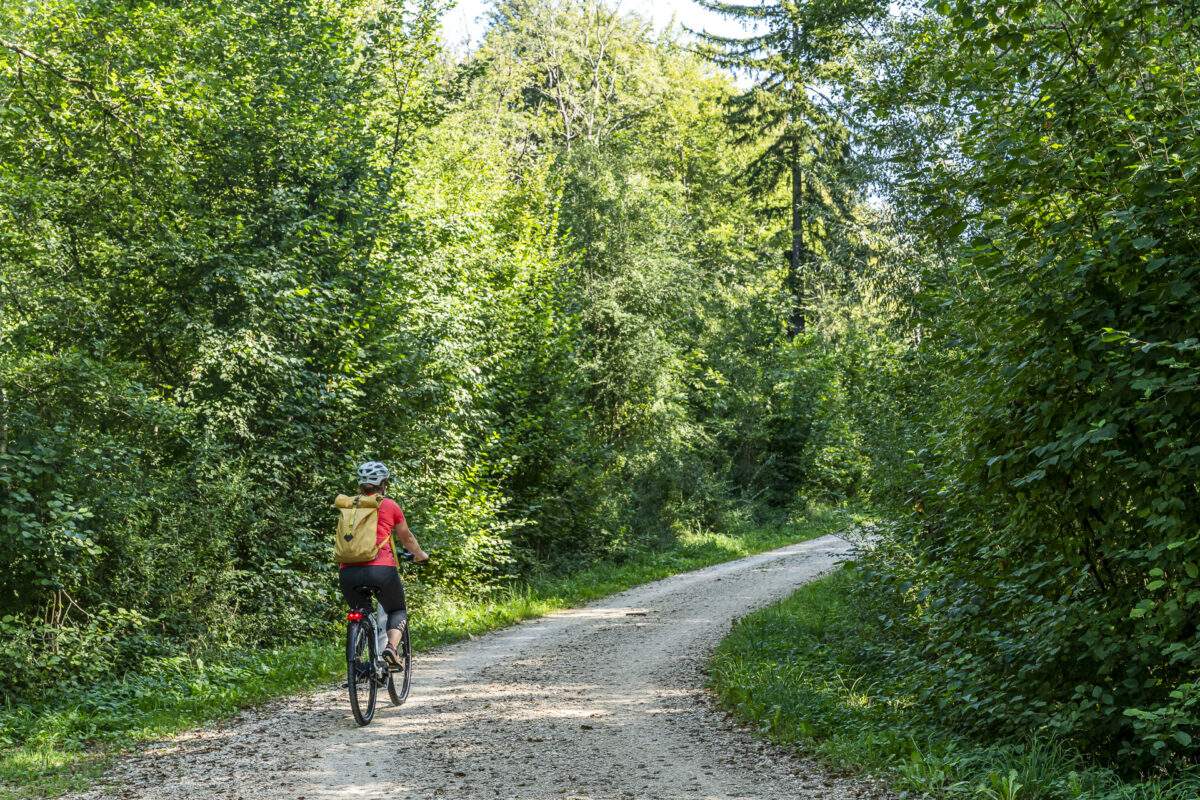 Umrundung Murtensee per Velo