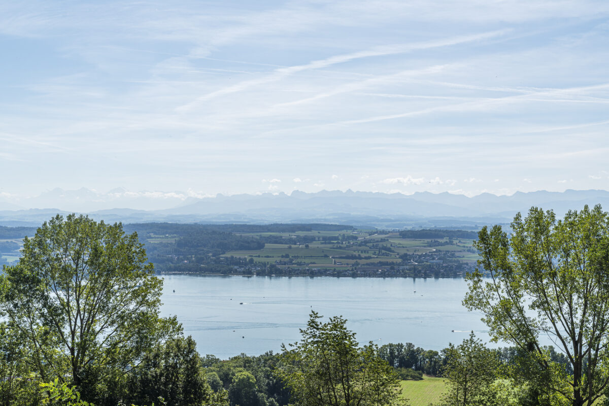 Aussicht auf den Mont Vully