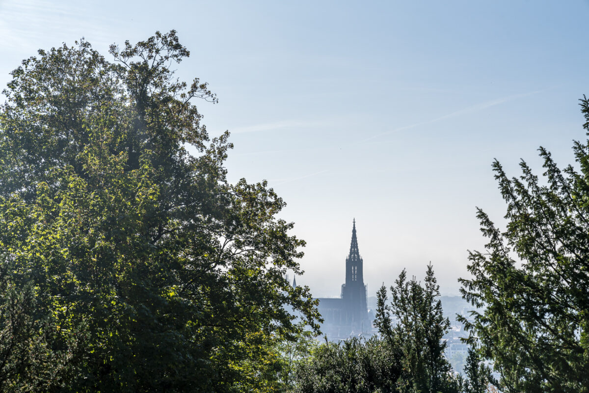 Blick auf das Ulmer Münster