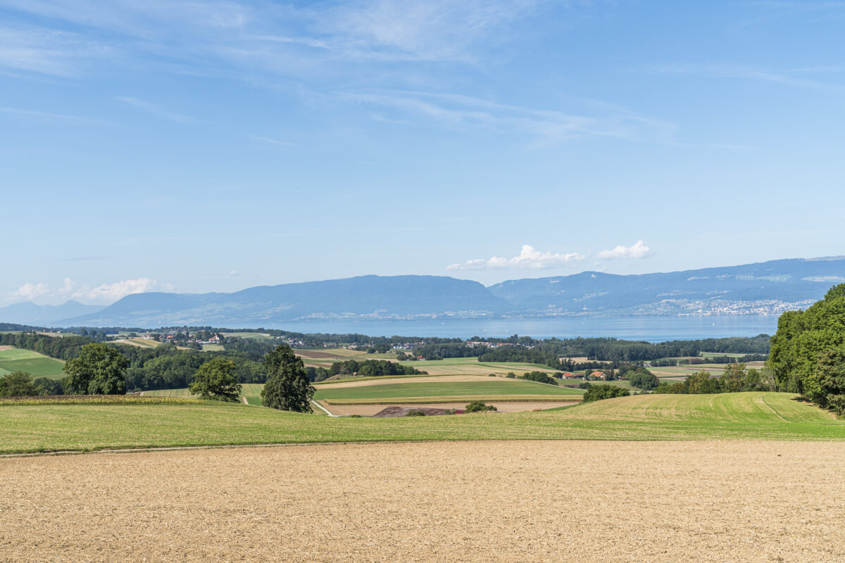 Blick auf den Neuenburgersee