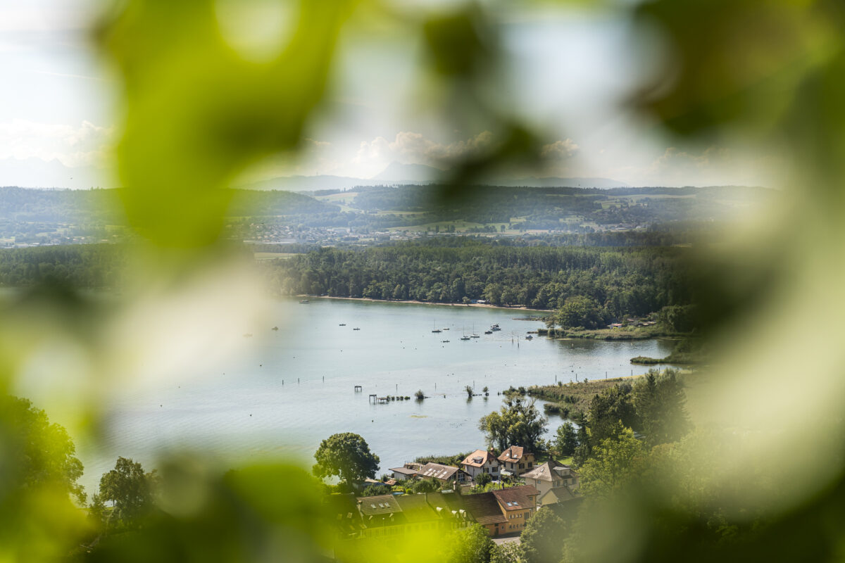 Blick auf Salavaux