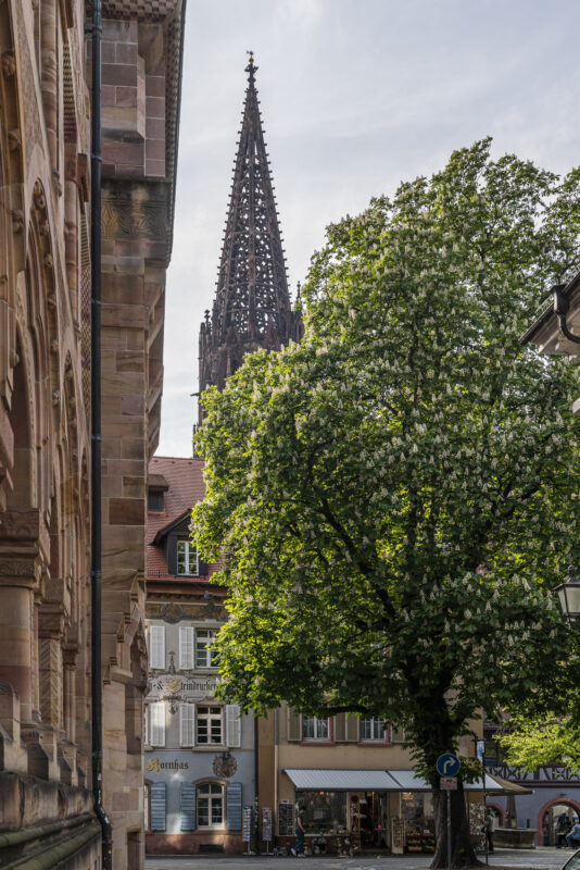 Münster Freiburg