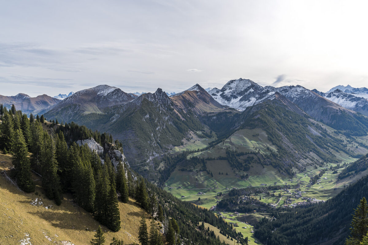 Panorama Diemtigtal