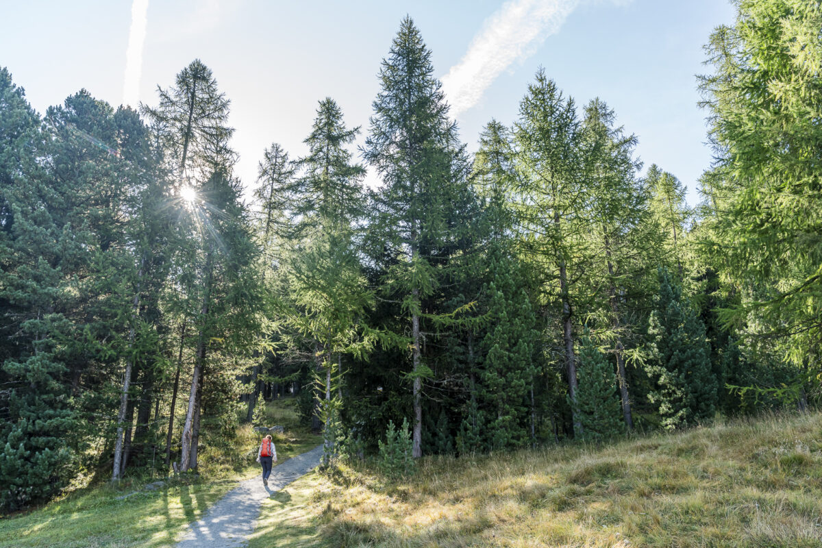 Von Pontresina ins Val Roseg wandern