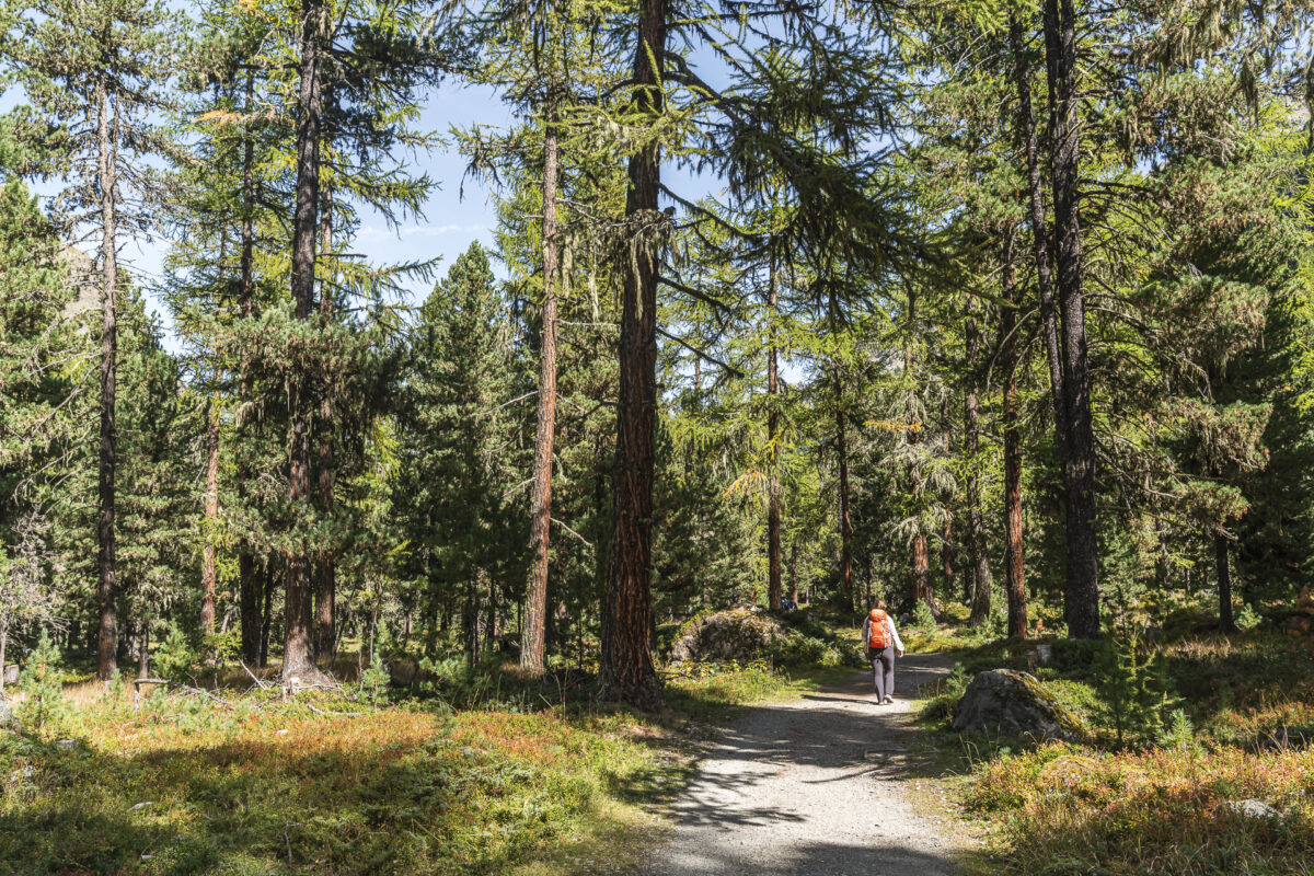 Wanderweg im Val Roseg