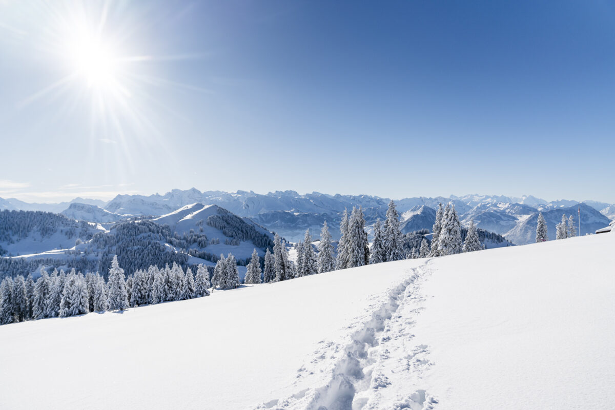 Schneeschuhwandern Rigi