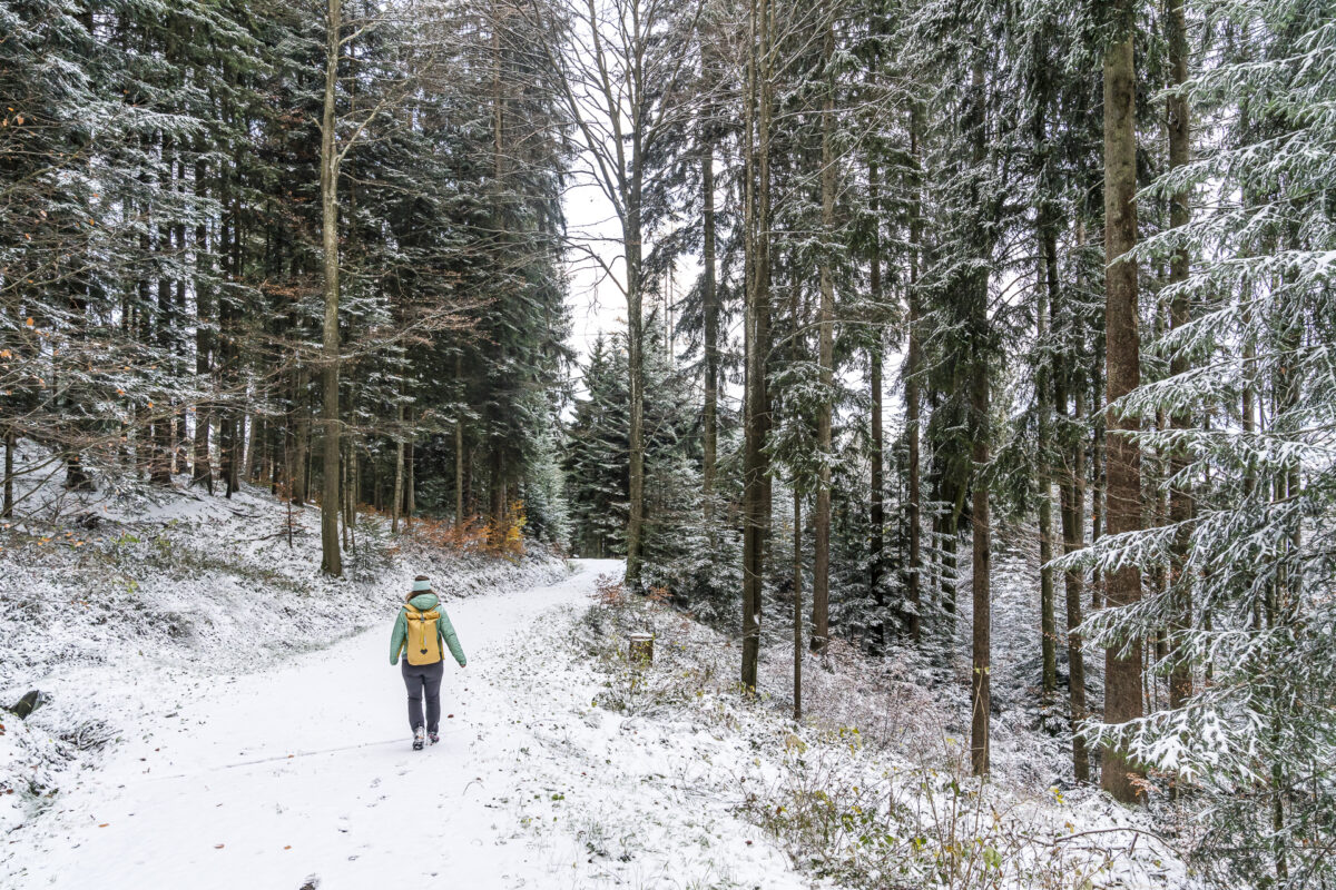 Wandern auf dem Alpenpanoramaweg